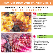 Load image into Gallery viewer, Diamond Painting - Full Square - clown (50*70CM)
