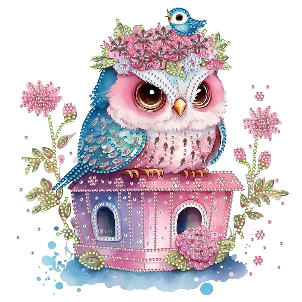Diamond Painting - Partial Special Shaped - serious owl (30*30CM)