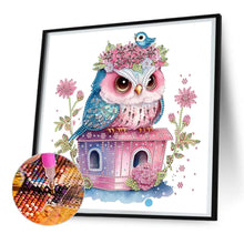 Load image into Gallery viewer, Diamond Painting - Partial Special Shaped - serious owl (30*30CM)
