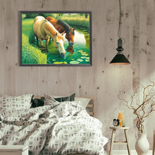 Load image into Gallery viewer, Diamond Painting - Full Round - Drinking water for horses (40*30CM)
