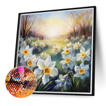 Load image into Gallery viewer, Diamond Painting - Full Round - narcissus (40*40CM)
