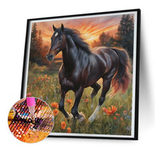 Load image into Gallery viewer, Diamond Painting - Full Round - horse (30*30CM)
