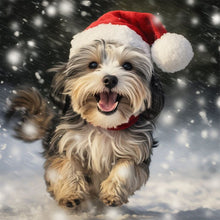 Load image into Gallery viewer, Diamond Painting - Full Round - Christmas puppy (30*30CM)

