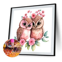 Load image into Gallery viewer, AB Diamond Painting - Full Round - owl (40*40CM)
