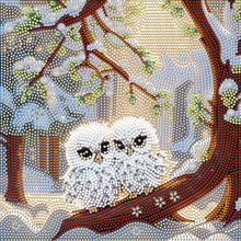Load image into Gallery viewer, Diamond Painting - Partial Special Shaped - white owl (30*30CM)
