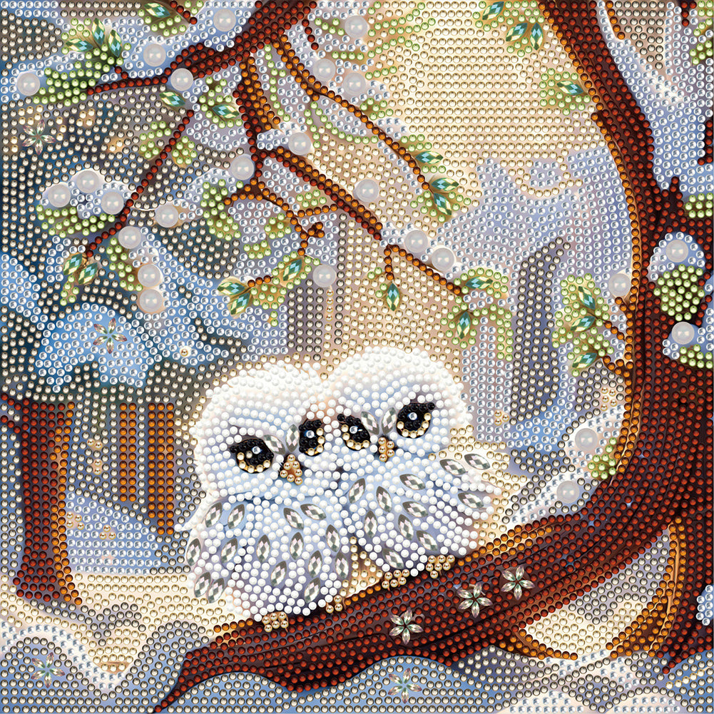 Diamond Painting - Partial Special Shaped - white owl (30*30CM)