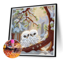 Load image into Gallery viewer, Diamond Painting - Partial Special Shaped - white owl (30*30CM)

