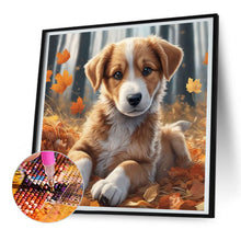 Load image into Gallery viewer, Diamond Painting - Full Round - brown bear (30*30CM)
