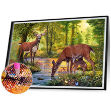 Load image into Gallery viewer, Diamond Painting - Full Square - drinking deer (70*50CM)
