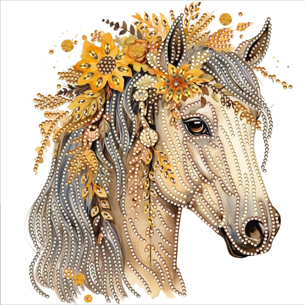 Diamond Painting - Partial Special Shaped - long hair horse (30*30CM)