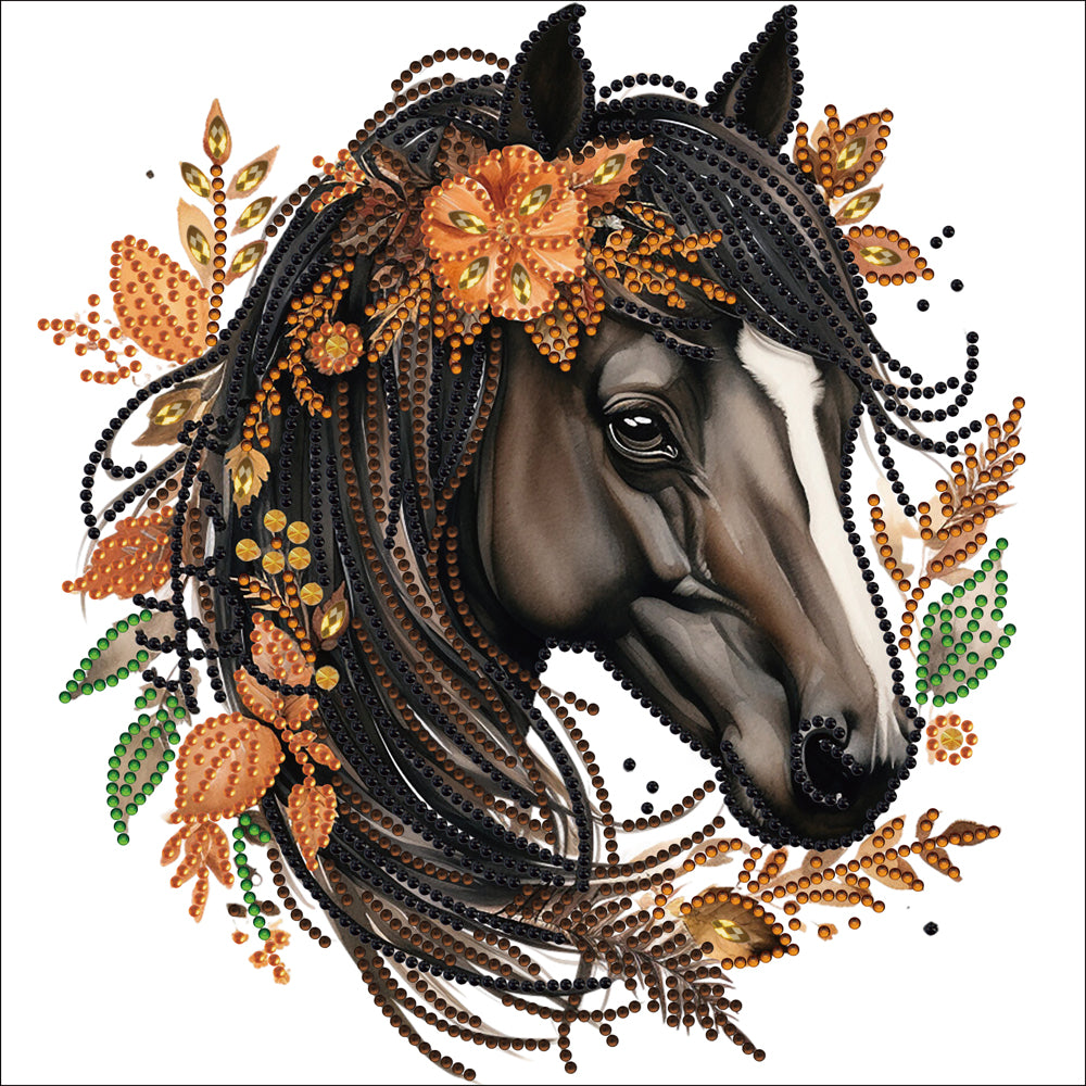 Diamond Painting - Partial Special Shaped - long hair horse (30*30CM)