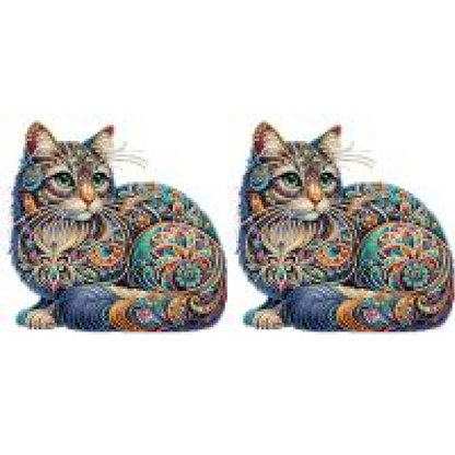 Diamond Painting - Partial Special Shaped - gorgeous cat (30*30CM)