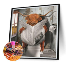 Load image into Gallery viewer, Diamond Painting - Full Round - Scottish highland cow baby reading newspaper (30*30CM)
