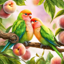 Load image into Gallery viewer, Diamond Painting - Full Round - Parrot (30*30CM)
