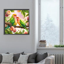 Load image into Gallery viewer, Diamond Painting - Full Round - Parrot (30*30CM)
