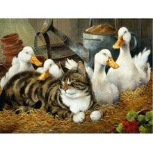 Load image into Gallery viewer, Diamond Painting - Full Round - cat duck (40*30CM)

