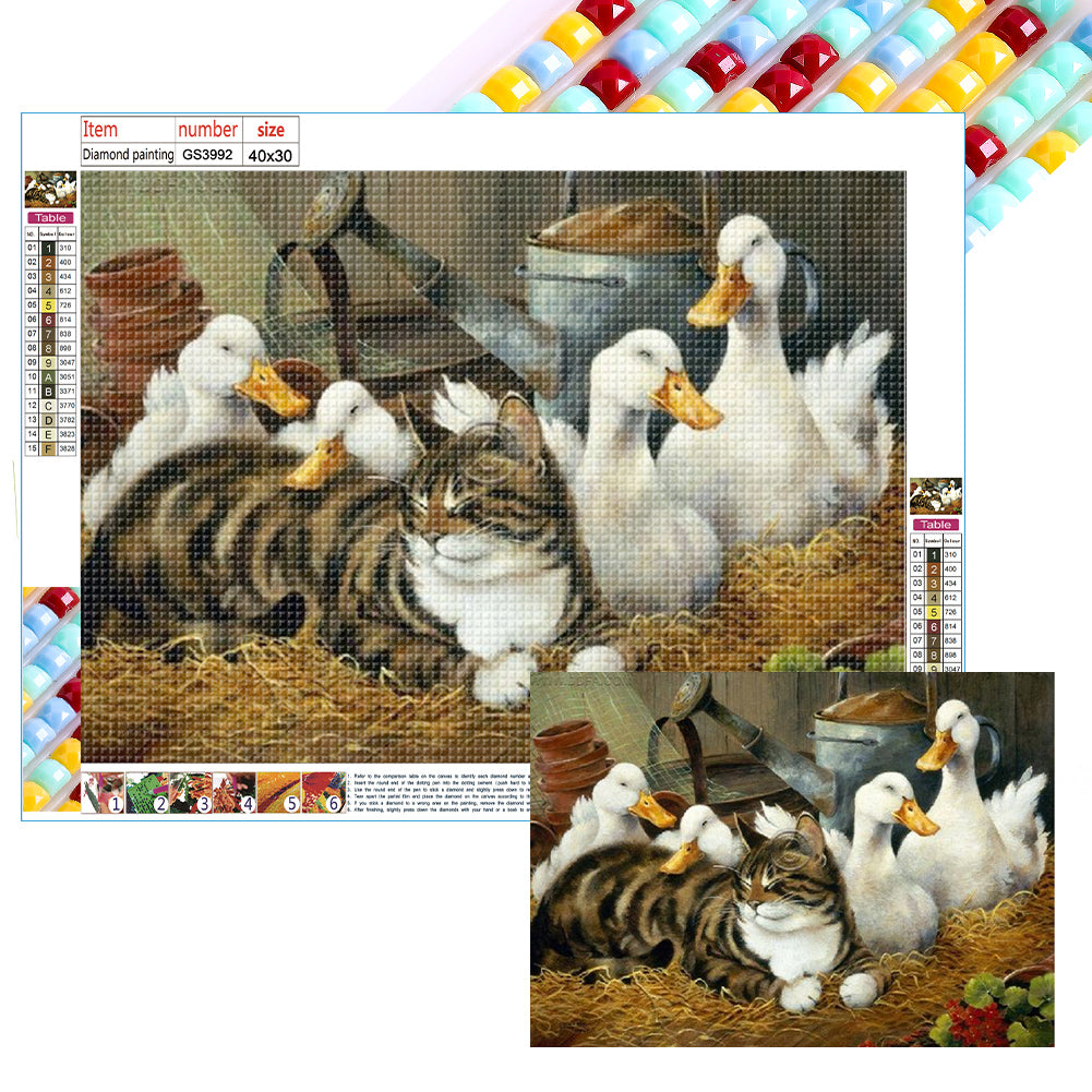 Diamond Painting - Full Round - cat duck (40*30CM)