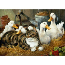 Load image into Gallery viewer, Diamond Painting - Full Round - cat duck (40*30CM)
