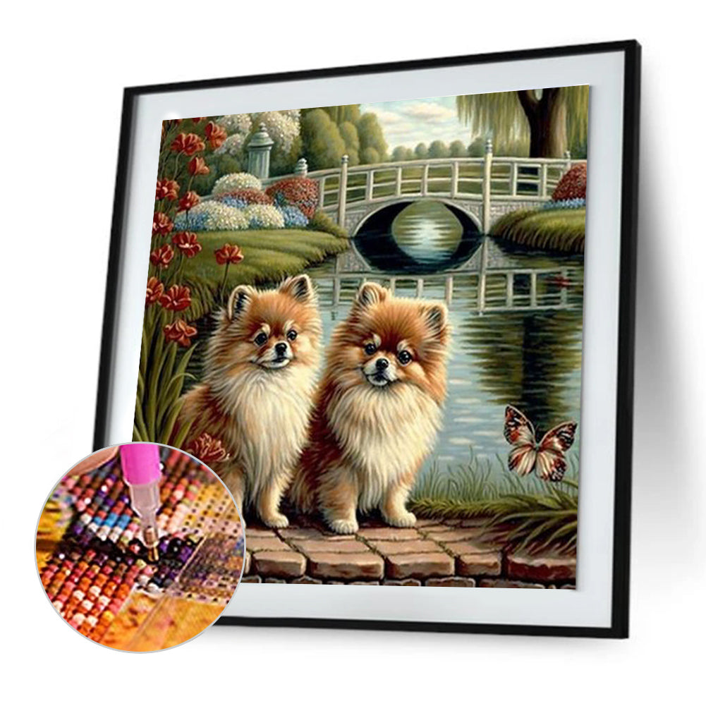 Diamond Painting - Full Round - puppy in the park (30*30CM)