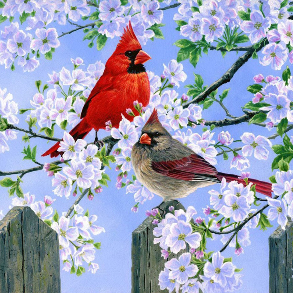 Diamond Painting - Full Round - cardinal (30*30CM)