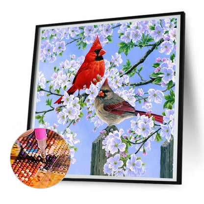 Diamond Painting - Full Round - cardinal (30*30CM)
