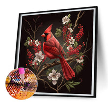 Load image into Gallery viewer, Diamond Painting - Full Round - cardinal (30*30CM)

