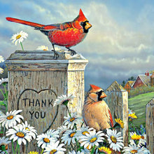 Load image into Gallery viewer, Diamond Painting - Full Round - cardinal (30*30CM)
