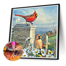 Load image into Gallery viewer, Diamond Painting - Full Round - cardinal (30*30CM)
