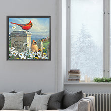 Load image into Gallery viewer, Diamond Painting - Full Round - cardinal (30*30CM)

