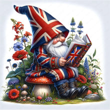 Load image into Gallery viewer, Diamond Painting - Full Round - garden gnome (30*30CM)
