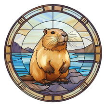 Load image into Gallery viewer, Diamond Painting - Full Round - capibala glass painting (30*30CM)
