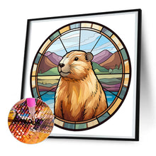 Load image into Gallery viewer, Diamond Painting - Full Round - capibala glass painting (30*30CM)
