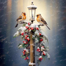 Load image into Gallery viewer, Diamond Painting - Full Round - street light bird (30*30CM)
