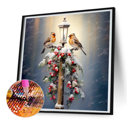 Diamond Painting - Full Round - street light bird (30*30CM)