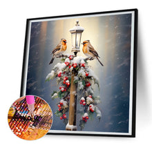 Load image into Gallery viewer, Diamond Painting - Full Round - street light bird (30*30CM)
