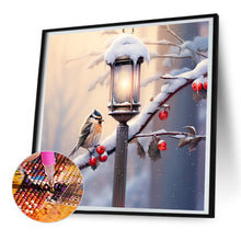 Load image into Gallery viewer, Diamond Painting - Full Round - street light bird (30*30CM)
