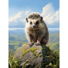 Load image into Gallery viewer, Diamond Painting - Full Round - hedgehog (30*40CM)

