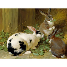 Load image into Gallery viewer, Diamond Painting - Full Round - rabbit nest (40*30CM)
