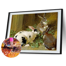 Load image into Gallery viewer, Diamond Painting - Full Round - rabbit nest (40*30CM)
