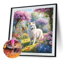 Load image into Gallery viewer, AB Diamond Painting - Full Round - Gouzi (30*30CM)
