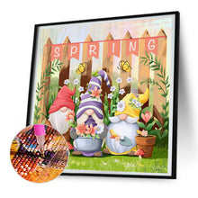 Load image into Gallery viewer, Diamond Painting - Full Round - Garden Gnome (30*30CM)
