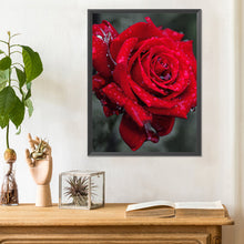 Load image into Gallery viewer, Diamond Painting - Full Round - bloom rose (30*40CM)
