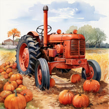 Load image into Gallery viewer, Diamond Painting - Full Round - Autumn harvest (30*30CM)
