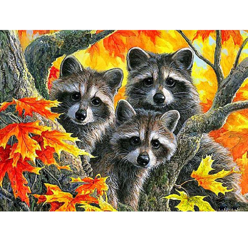 Diamond Painting - Full Square - raccoon (40*30CM)