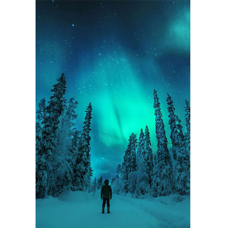 Diamond Painting - Full Square - Snowy aurora (30*40CM)