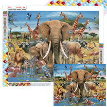 Load image into Gallery viewer, Diamond Painting - Full Square - tropical animals (50*40CM)
