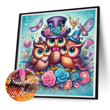 Load image into Gallery viewer, Diamond Painting - Full Round - three owls (30*30CM)
