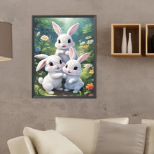 Load image into Gallery viewer, Diamond Painting - Full Round - garden rabbit (30*40CM)
