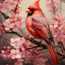 Load image into Gallery viewer, Diamond Painting - Full Round - cardinal (30*30CM)
