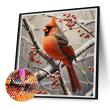 Load image into Gallery viewer, Diamond Painting - Full Round - cardinal (30*30CM)
